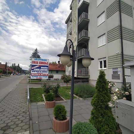 Banja Koviljača Apartmani - Vila Kovilje מראה חיצוני תמונה