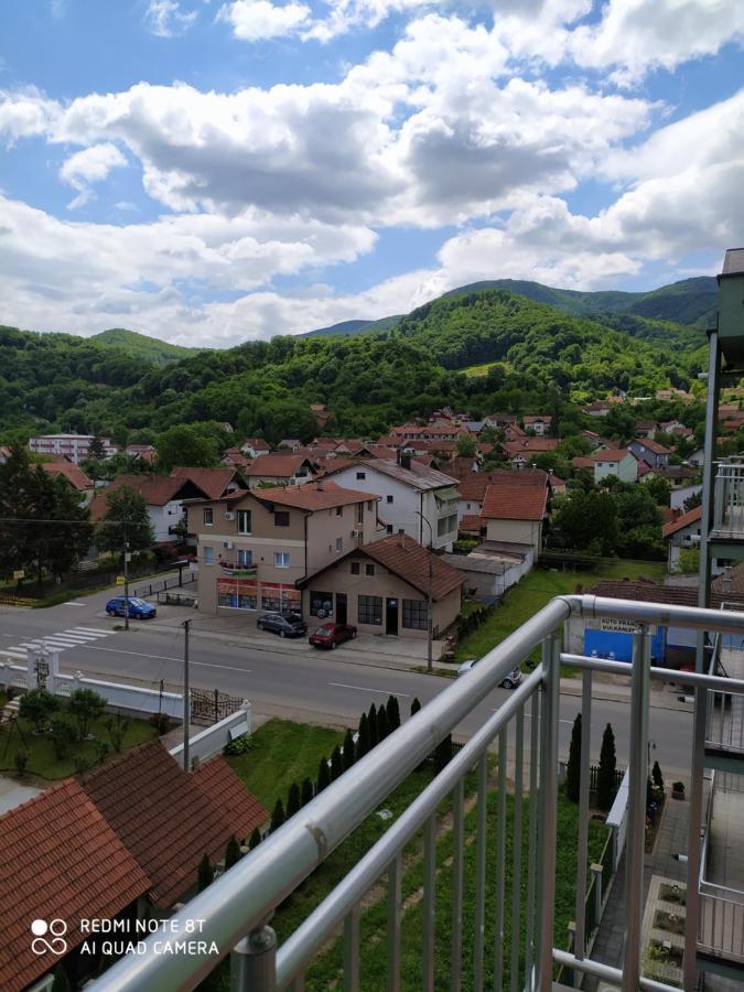 Banja Koviljača Apartmani - Vila Kovilje מראה חיצוני תמונה