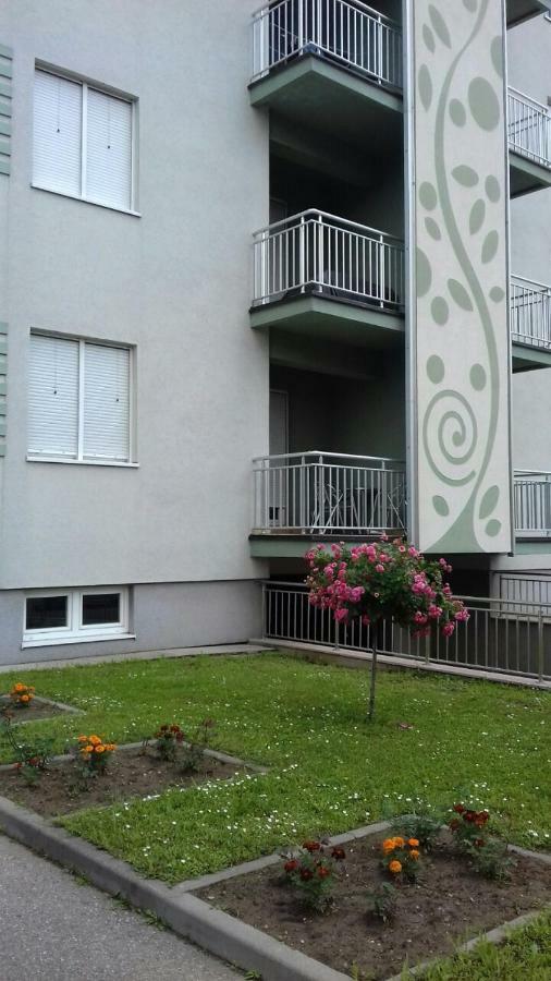 Banja Koviljača Apartmani - Vila Kovilje מראה חיצוני תמונה