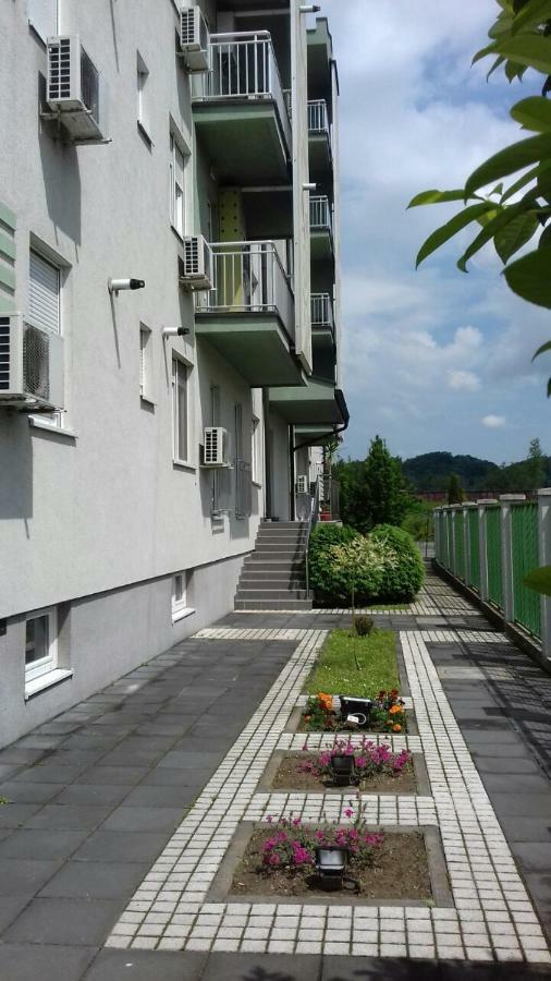 Banja Koviljača Apartmani - Vila Kovilje מראה חיצוני תמונה